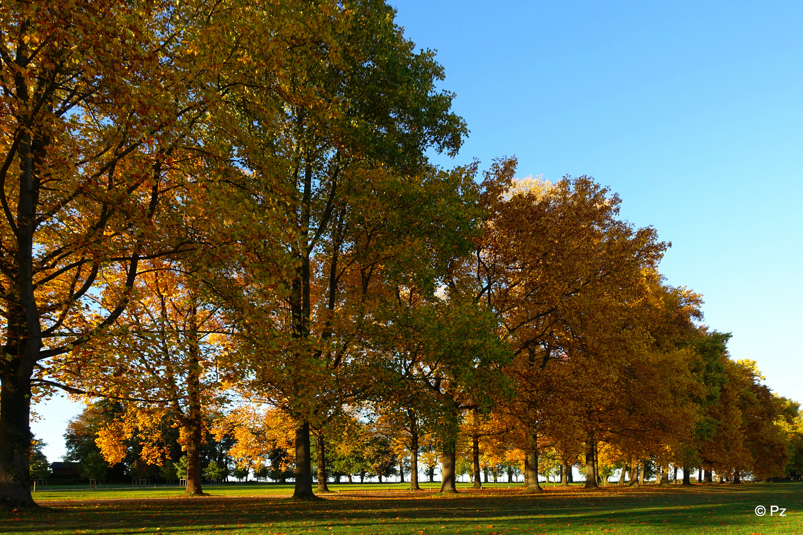 Im Andenken an den "goldenen" Oktober ...