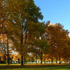 Im Andenken an den "goldenen" Oktober ...