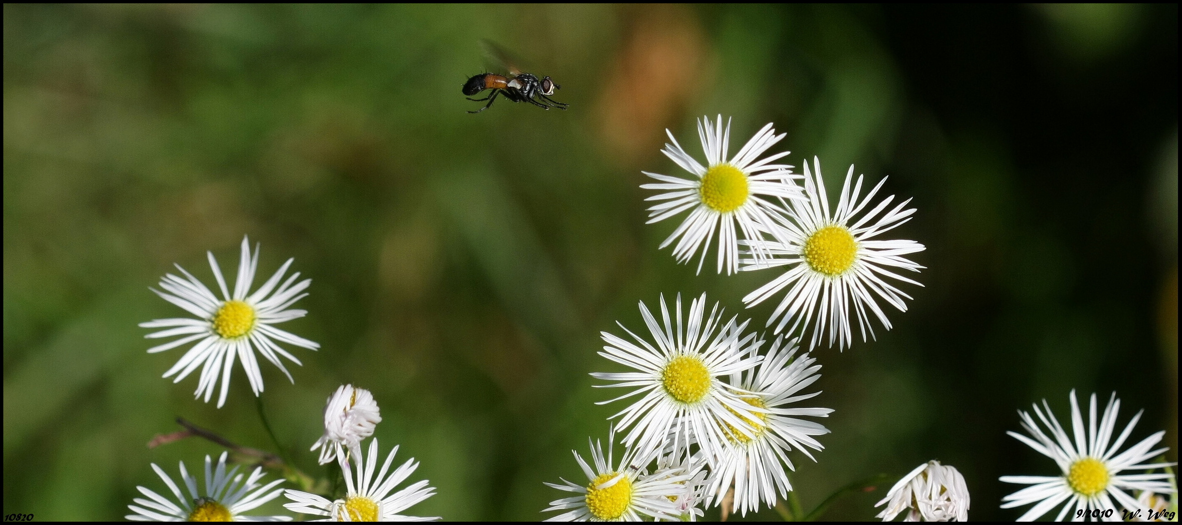 im Anflug...