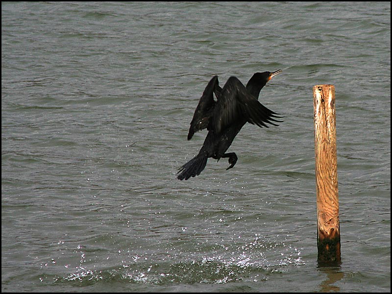 im Anflug auf 2006