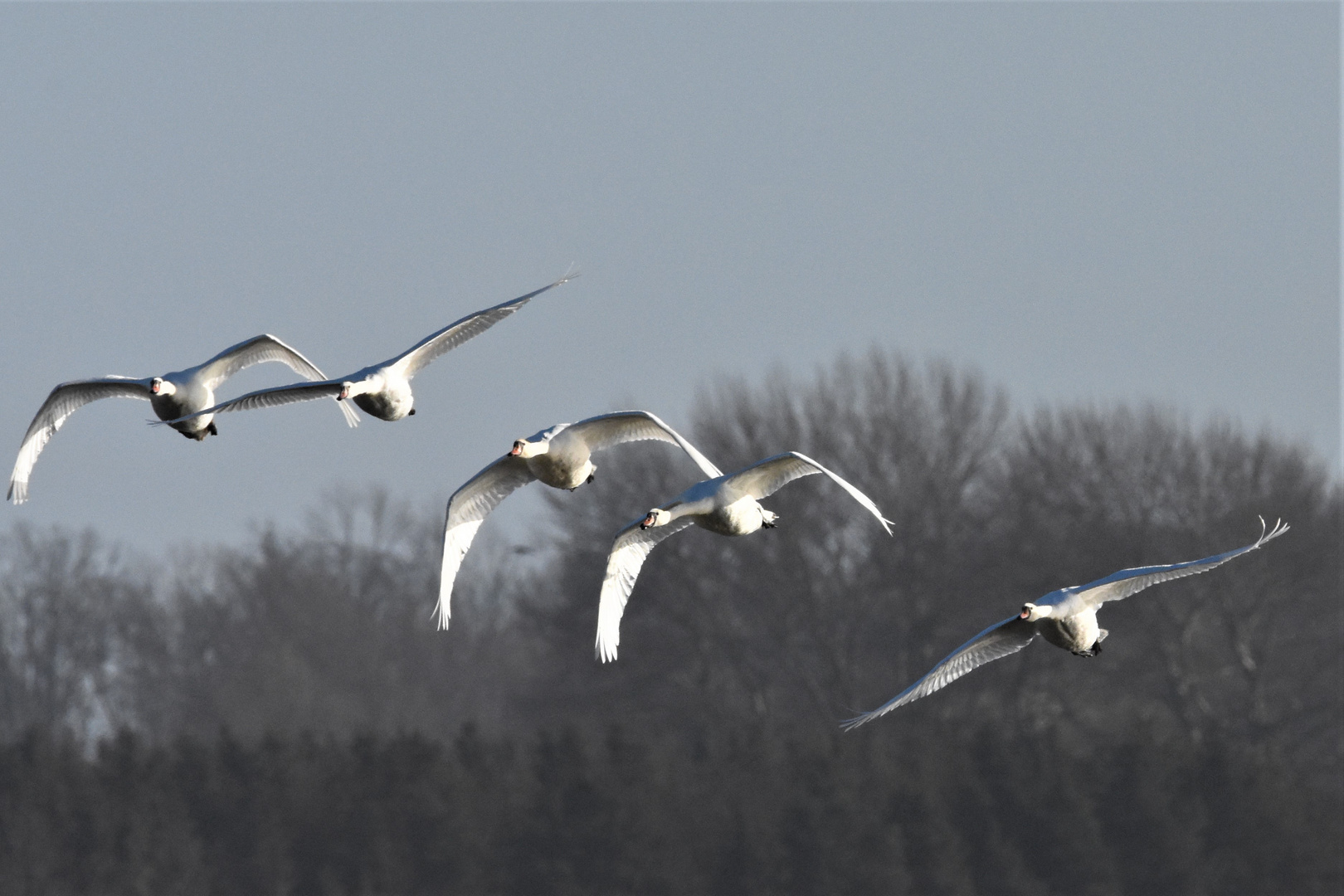 Im Anflug auf der Insel Ummanz