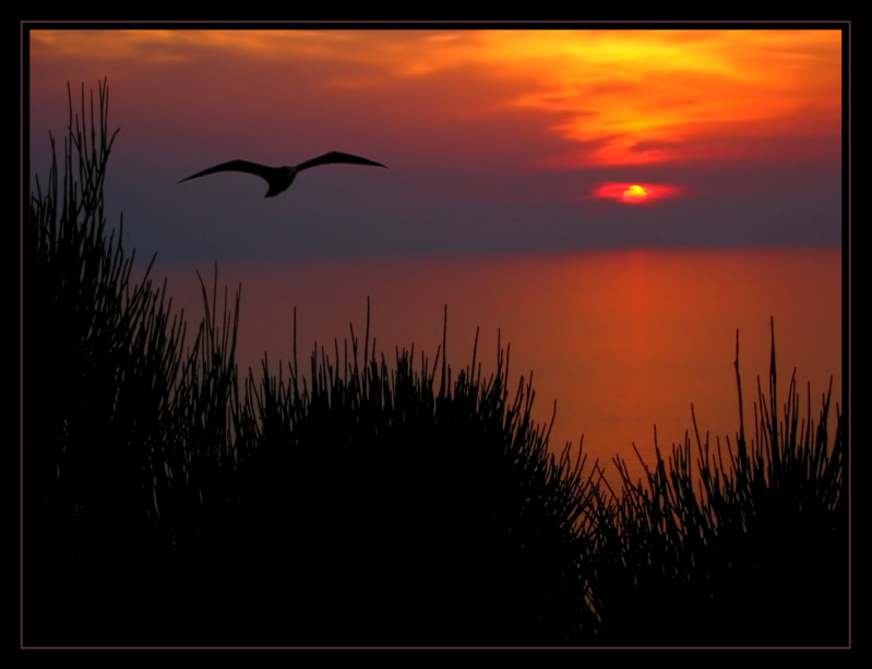 Im Anflug auf die Insel