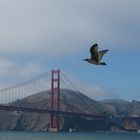 Im Anflug auf Golden Gate