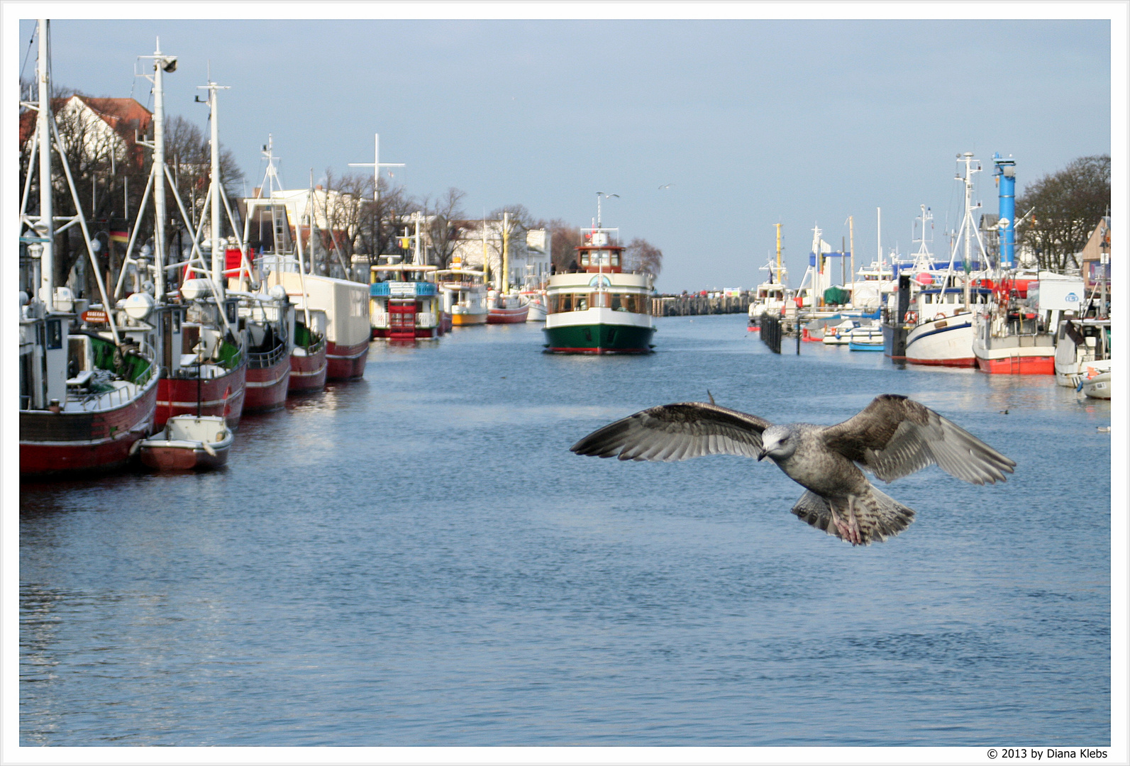 Im Anflug (Warnemünde Am Strom 2013)