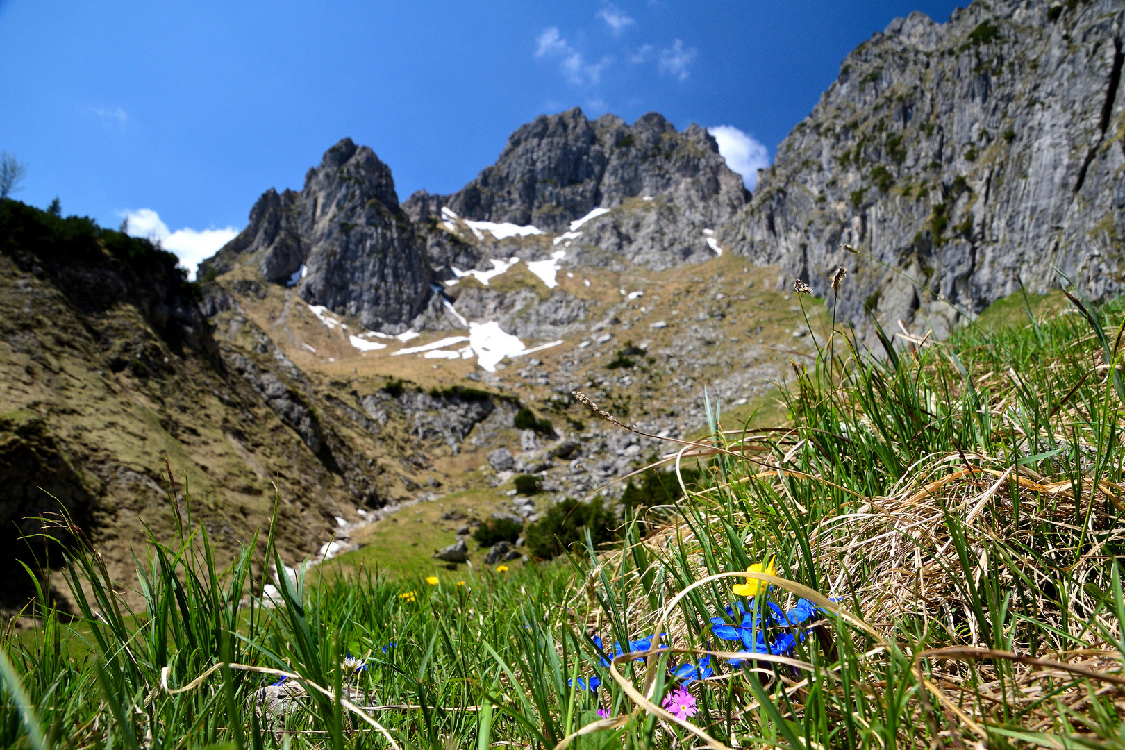 im Angesicht der Klammspitze