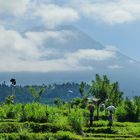 ...im Angesicht des Gunung Agung...