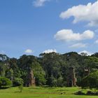 ...im Angkor Park...