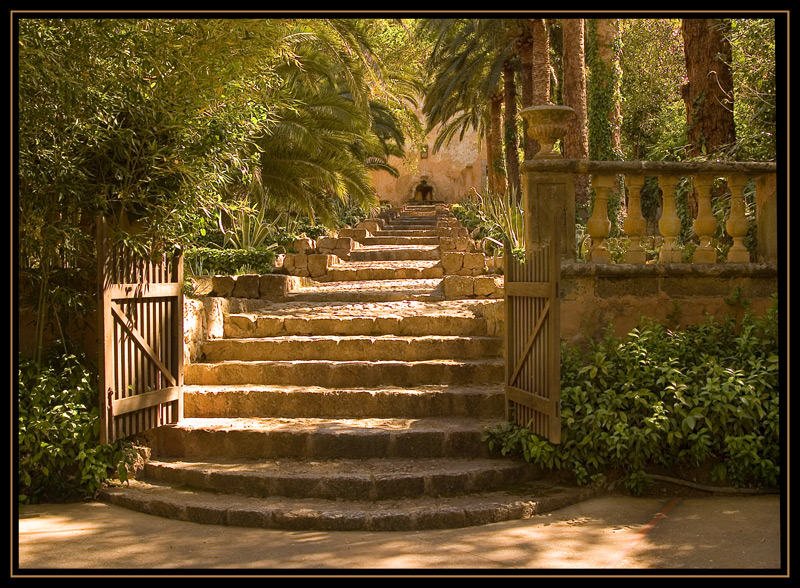 Im arabischen Garten