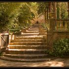 Im arabischen Garten Foto & Bild | europe, balearic islands, spain