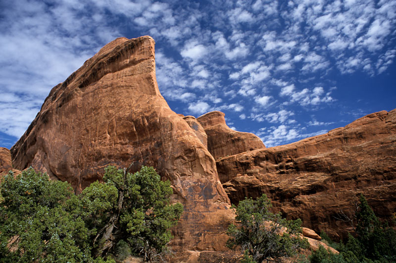 Im Arches Canyon