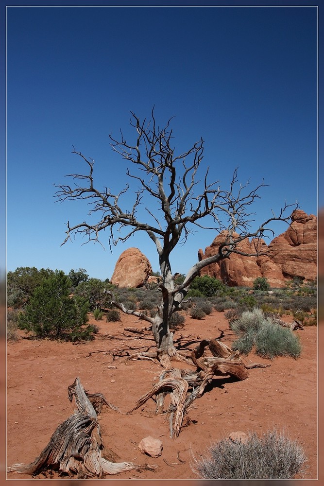 Im Arches NP