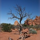 Im Arches NP