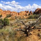 Im Arches NP,