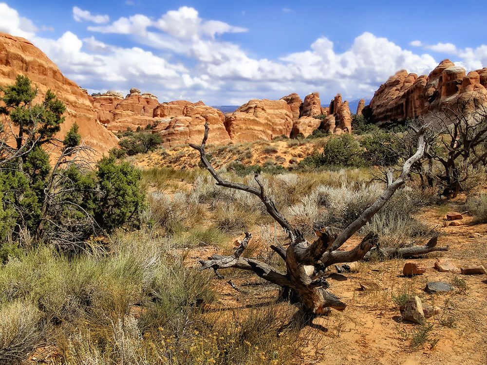 Im Arches NP,