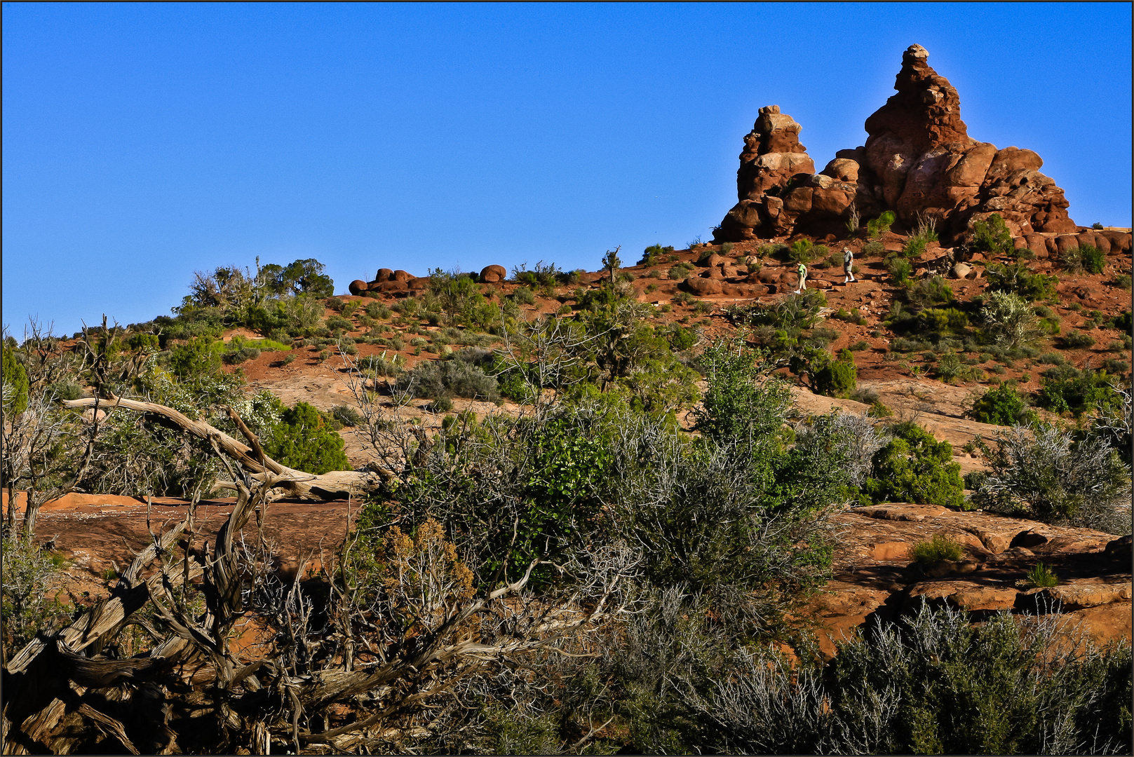 Im Arches NP III