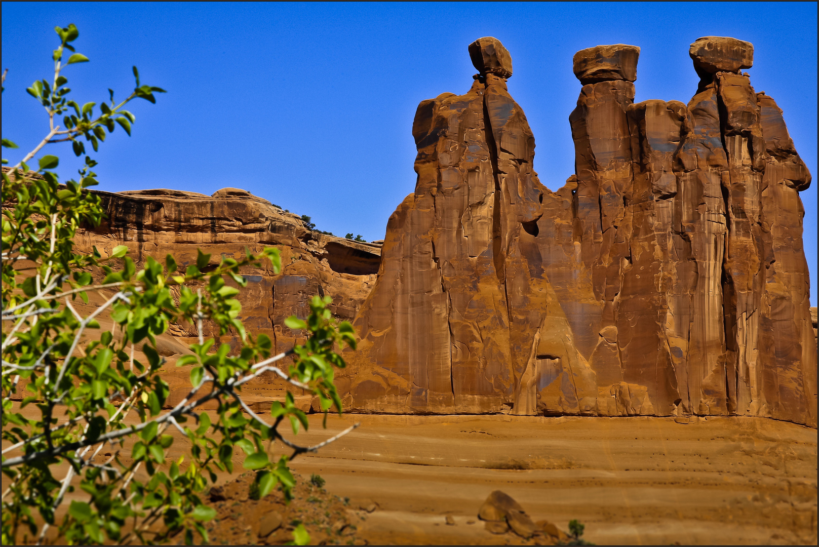 Im Arches NP IV