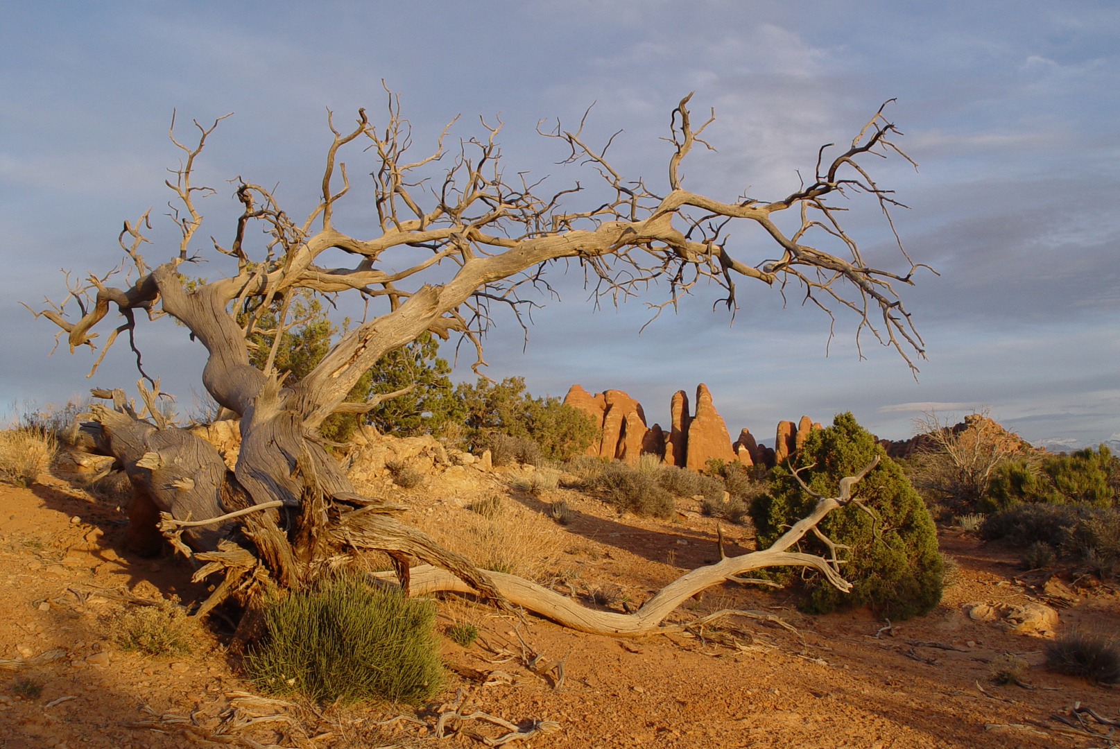 im Arches NP, Utah