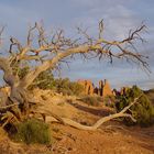 im Arches NP, Utah