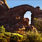 Im Arches NP VII