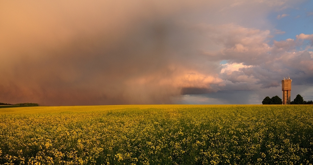 Im Archiv gefunden, war kein SANDSTURM, die Abendsonne bringt die abziehenden...