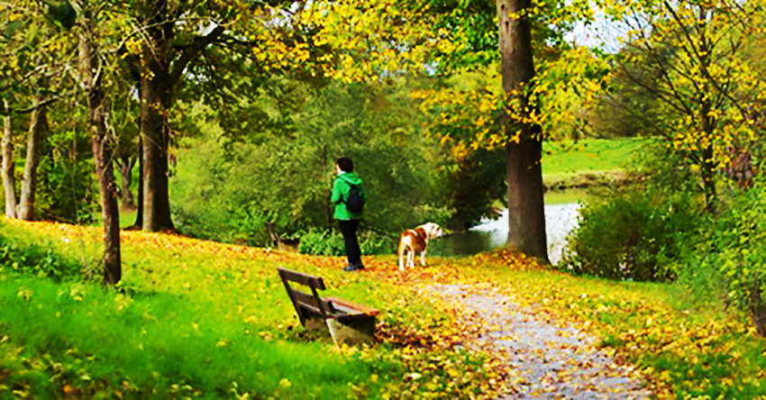 Im Archiv gekramt Herbst am Schlosswiesensee