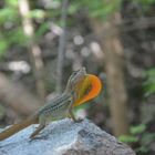 Im Arikok Nationalpark auf Aruba