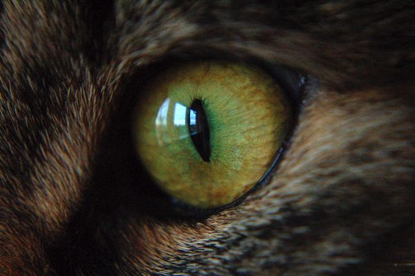 ..im Auge des Betrachters..II