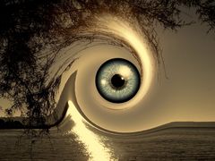 im Auge des Hurrikan