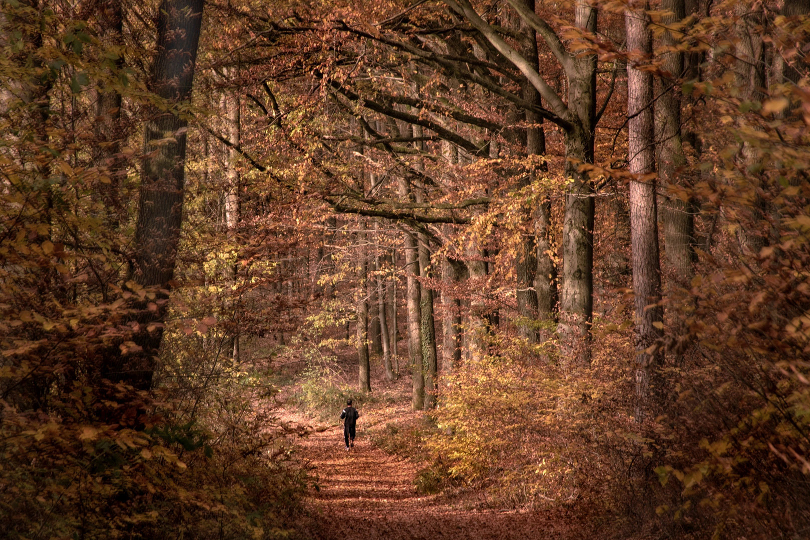 Im Auge des Spessarts