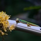 Im Augsburger Zoo 