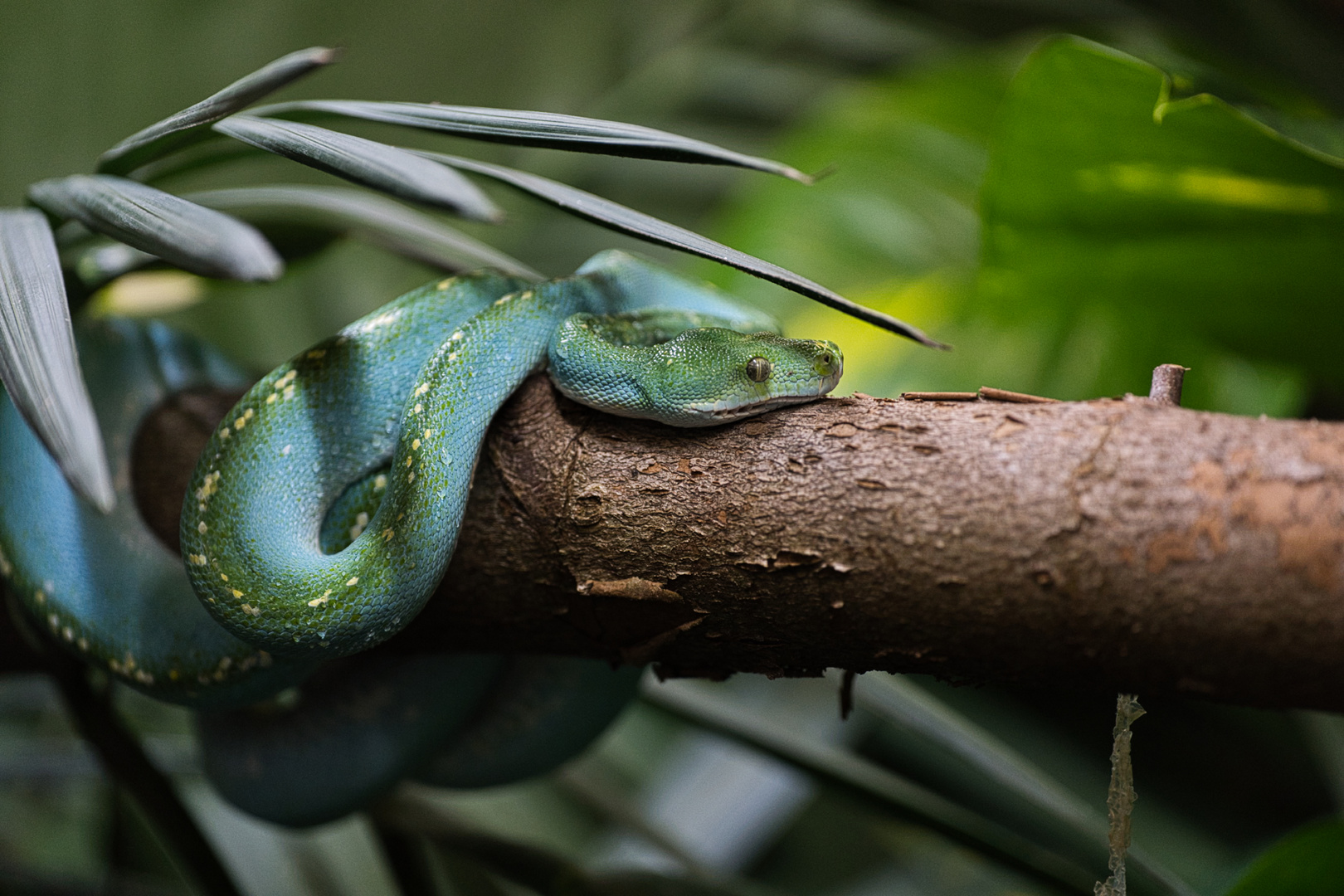 Im Augsburger Zoo