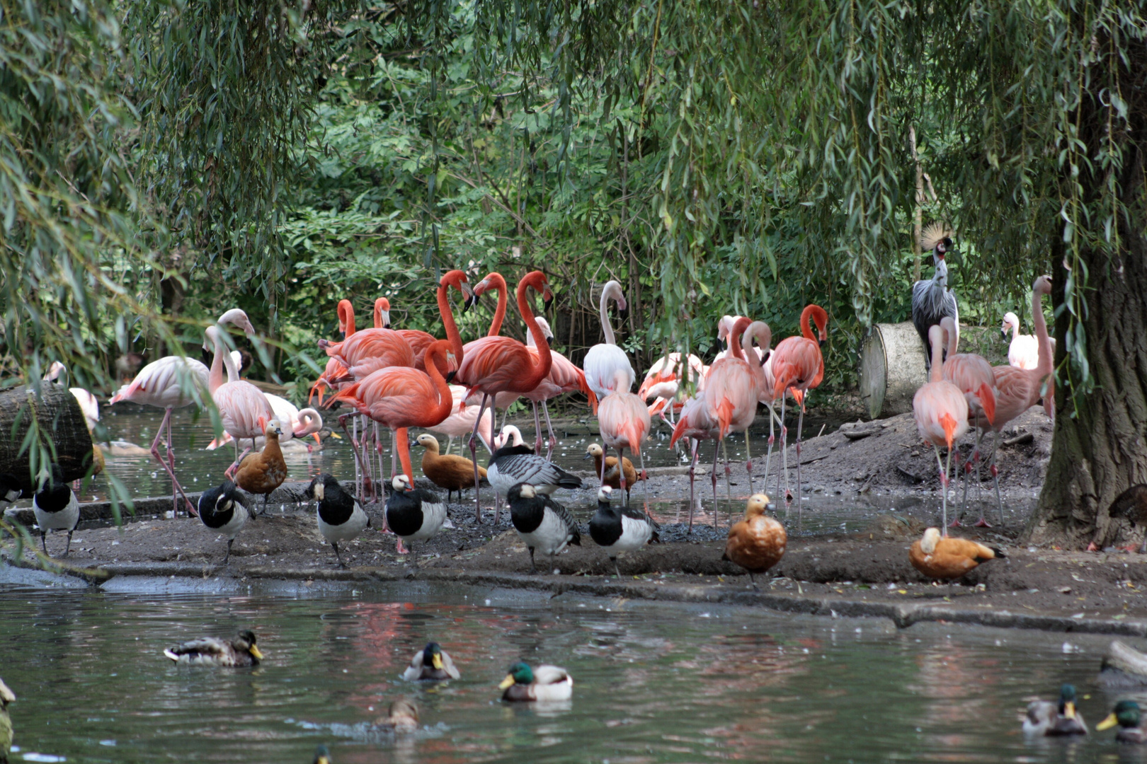 Im Augsburger Zoo