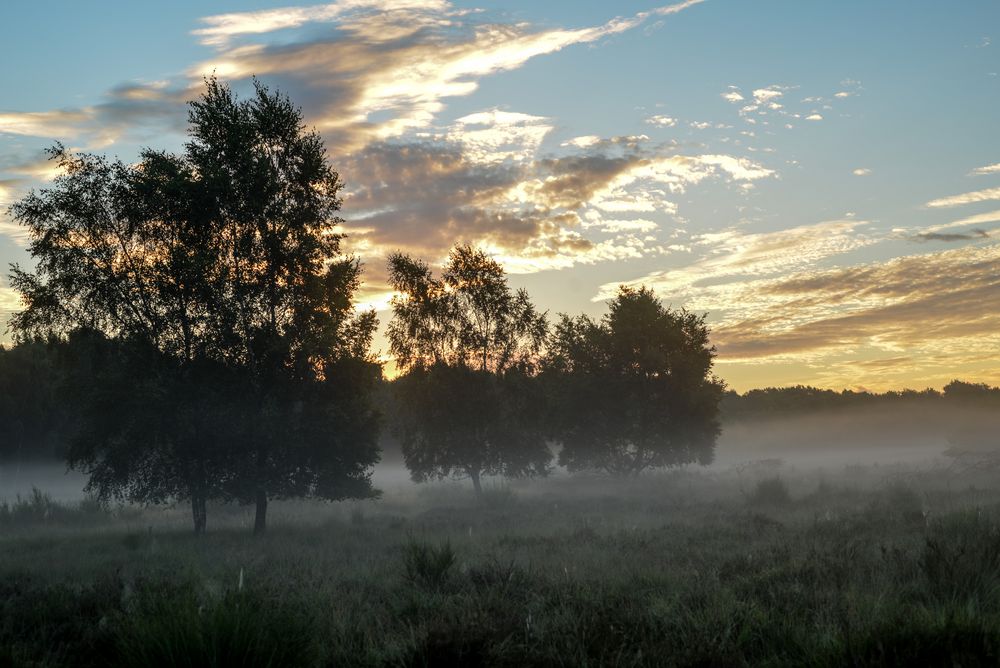Im August Foto & Bild nebelstimmungen, wetter, natur Bilder auf
