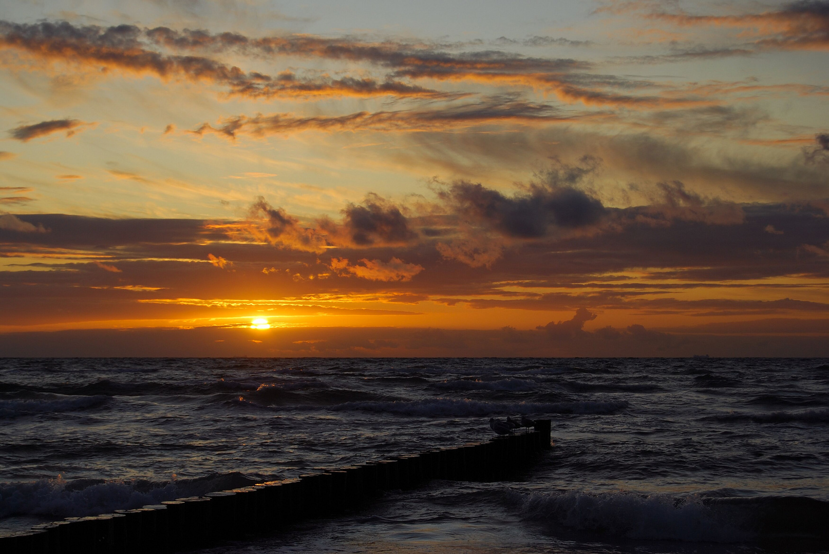 im August an der Ostsee