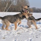 ...im August ist das Schnee etwas wärmer...