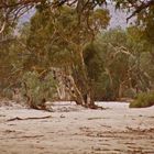 ...im ausgetrockneten Flussbett des Finke River