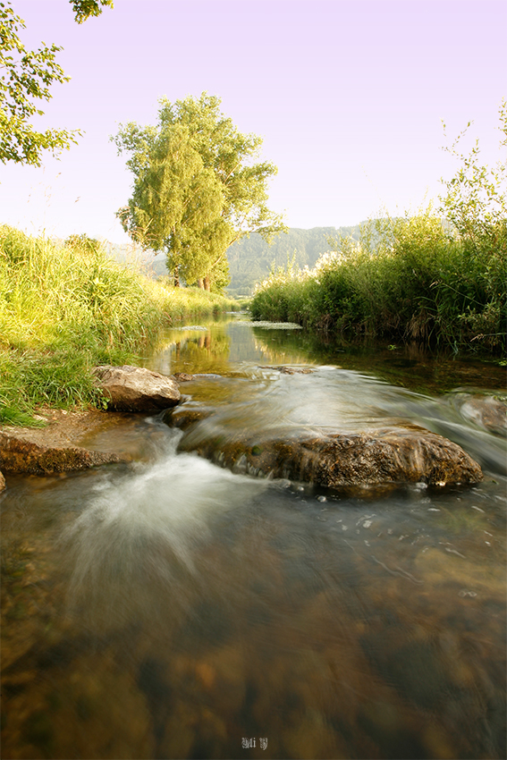 -IM-Bachlauf