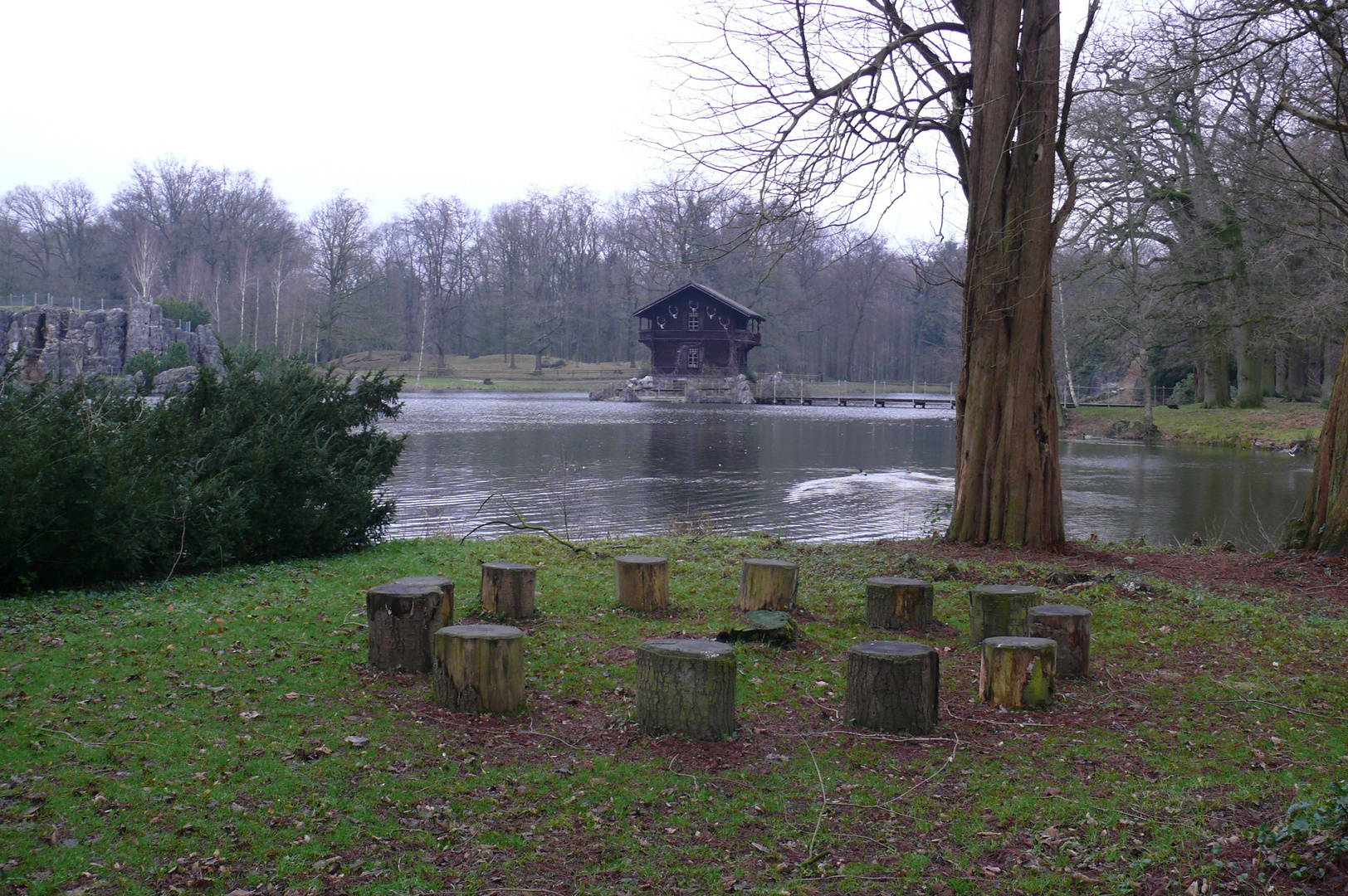 Im Bärnwald von Anholt