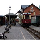 Im Bahnhof Bertsdorf