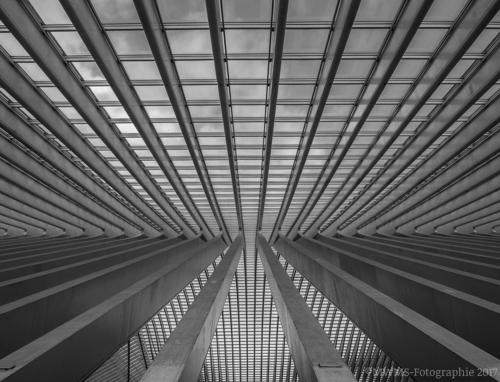 Im Bahnhof Liège-Guillemins (Santiago Calatrava)