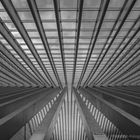 Im Bahnhof Liège-Guillemins (Santiago Calatrava)