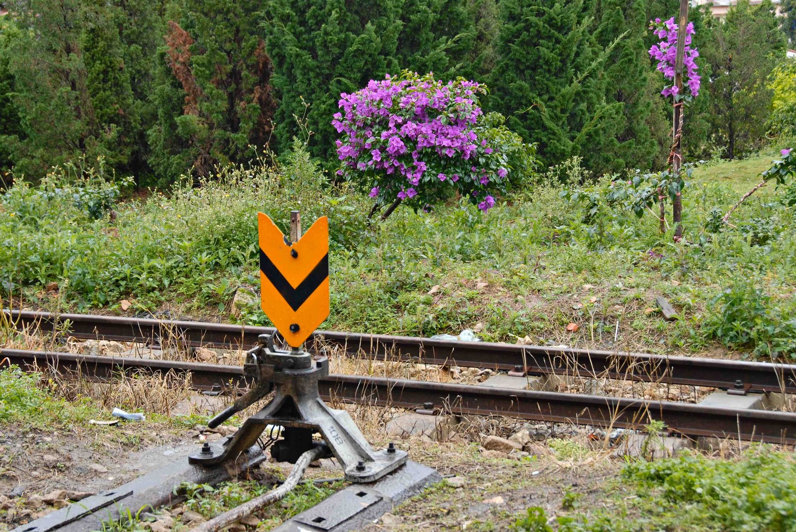 im Bahnhof von Dalat 05