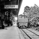 Im Bahnhof von Kuranda