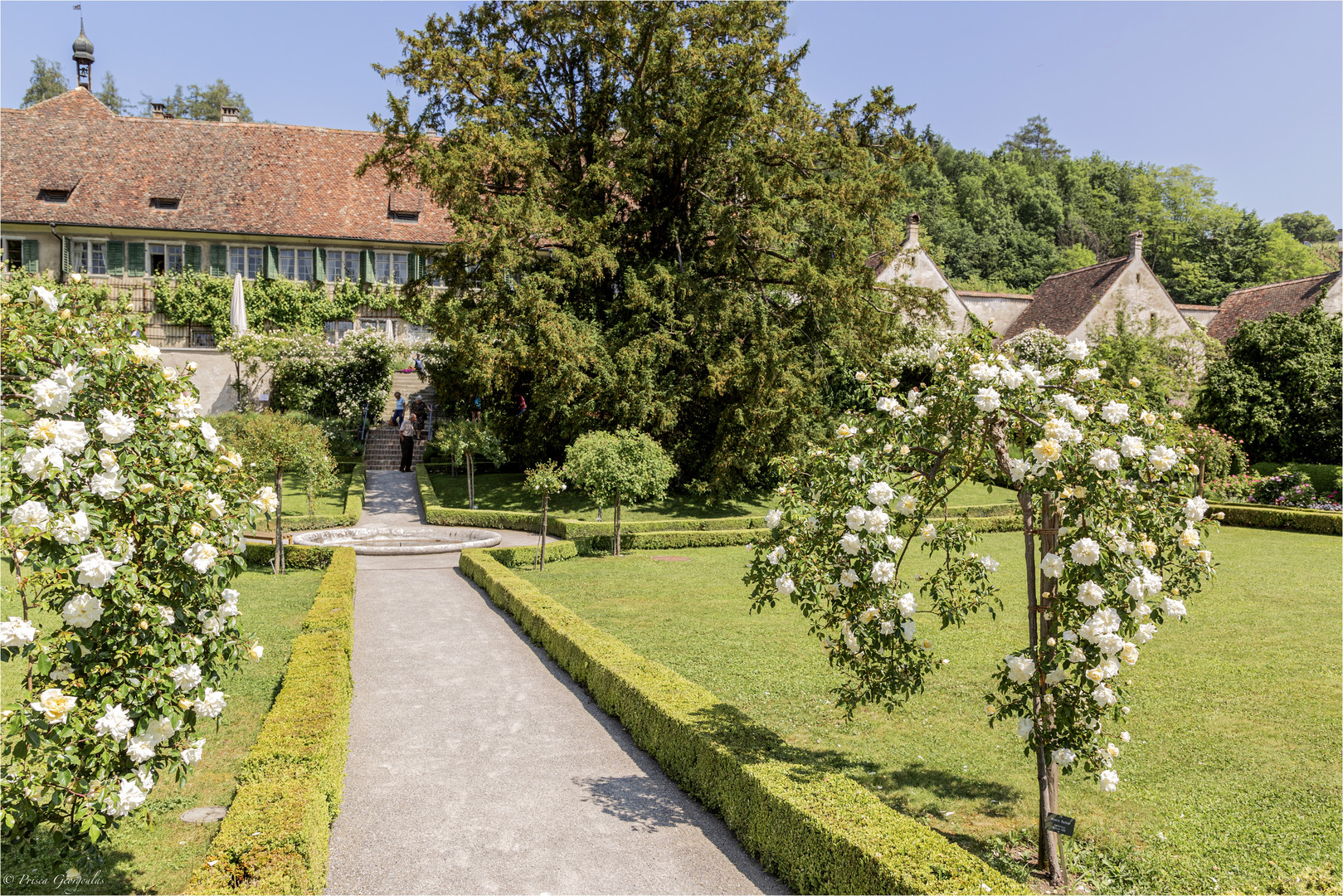 Im Barockgarten der Kartause Ittingen TG