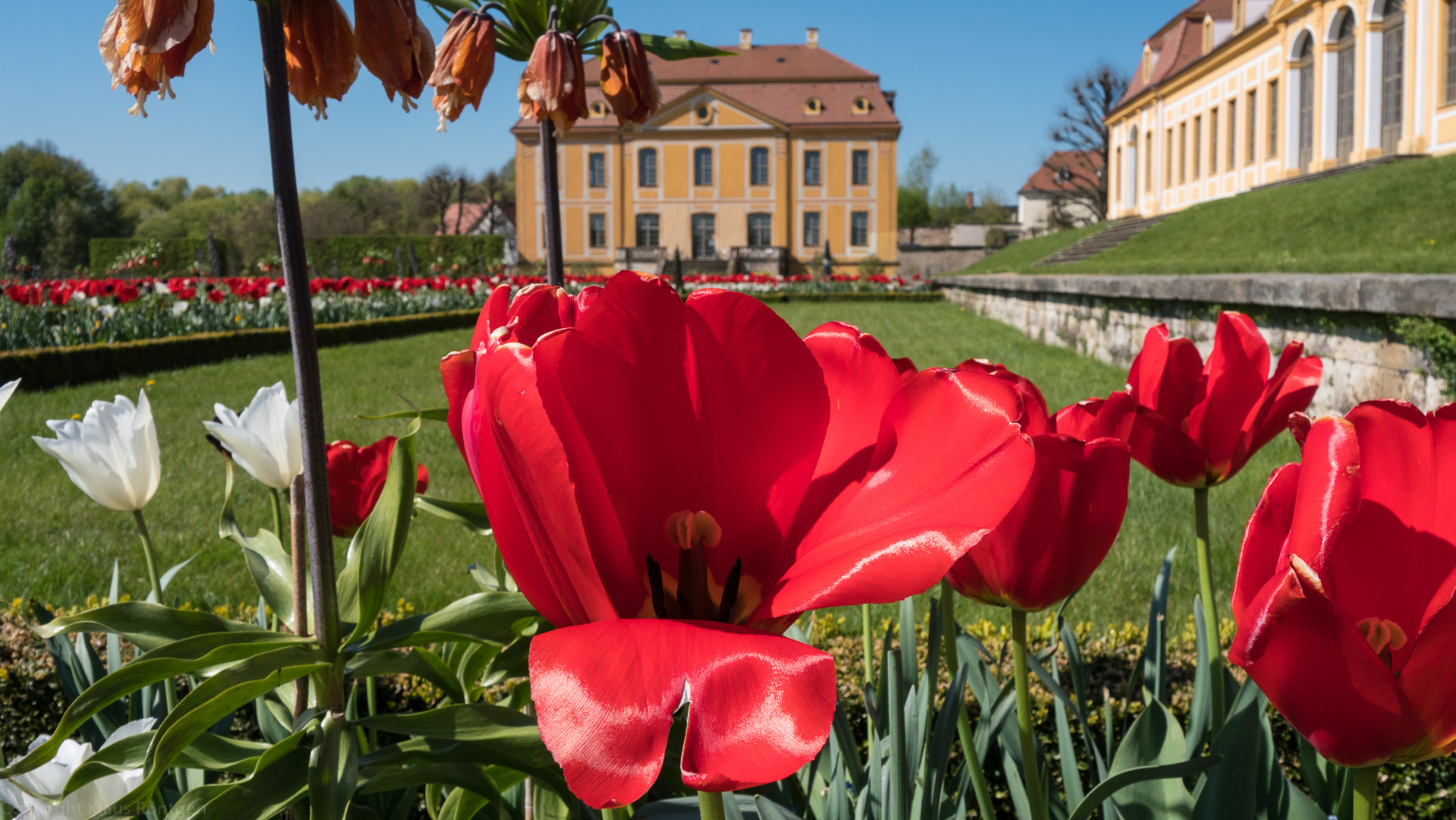 Im Barockgarten Großsedlitz