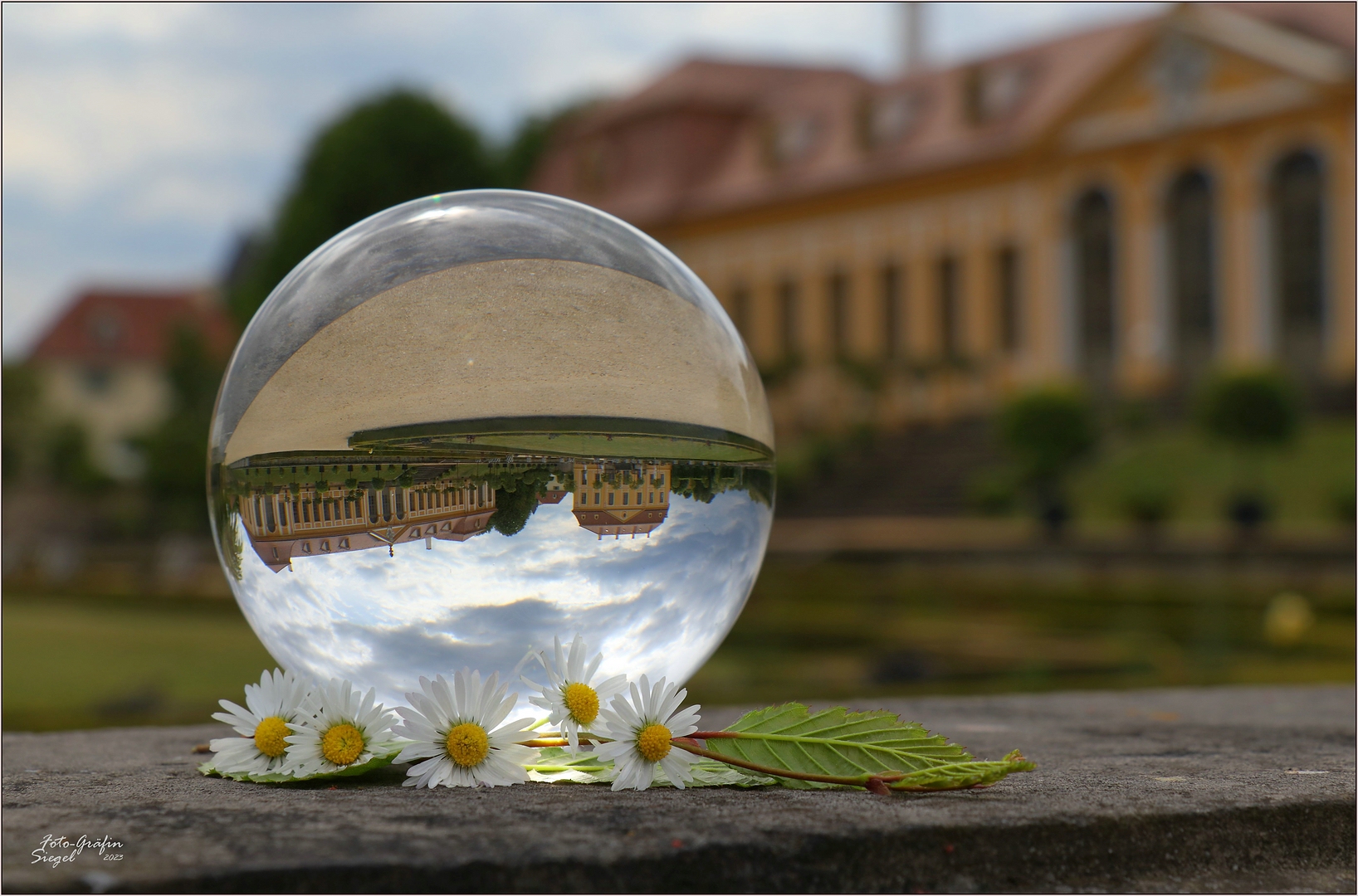 Im Barockgarten Großsedlitz ...