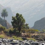 Im Barranco de angustias (1)