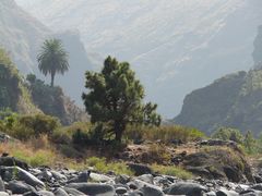 Im Barranco de angustias (1)