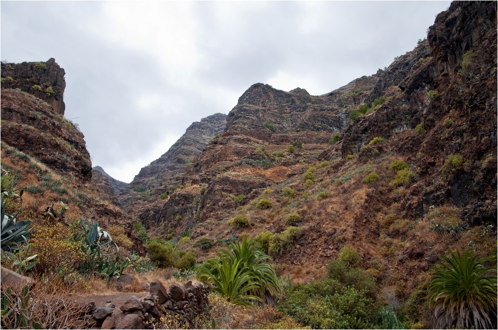 Im Barranco de Arure