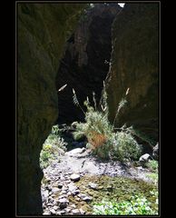 ...im Barranco de Masca